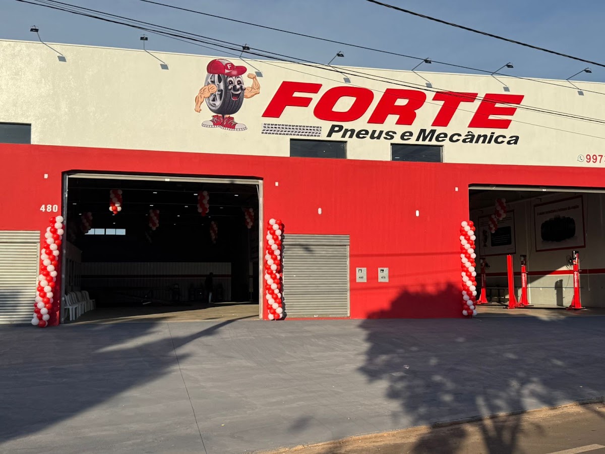 Forte Pneus e Amortecedores Uberlândia em Uberlândia