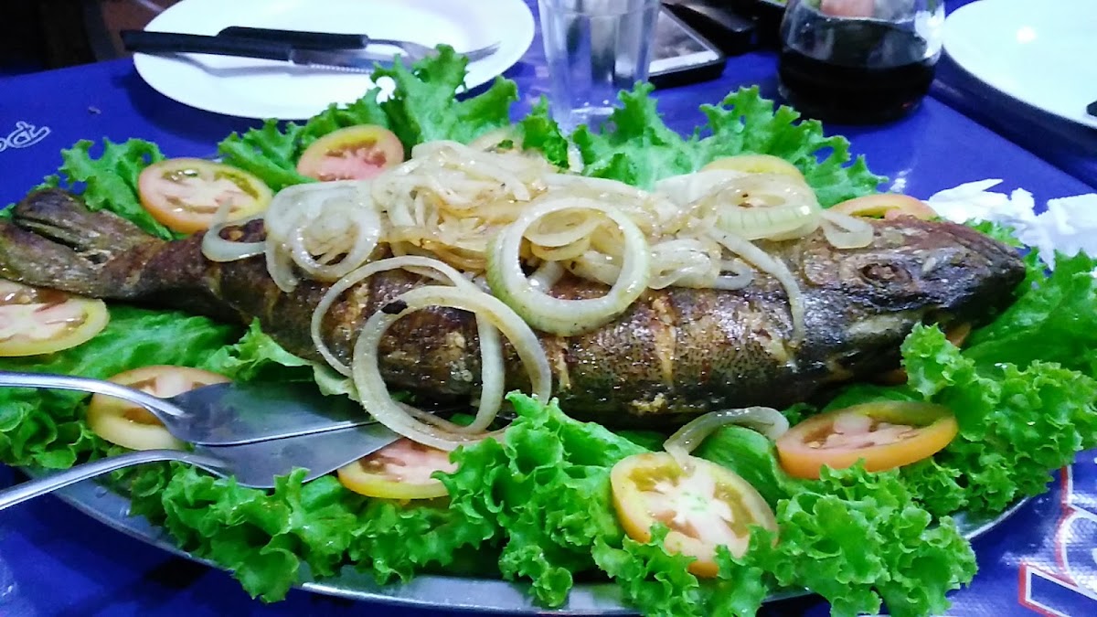 Peixinhos & cia em Goianésia